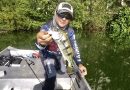 DAMIKI Product Field Test – Peacock Bass Part 2